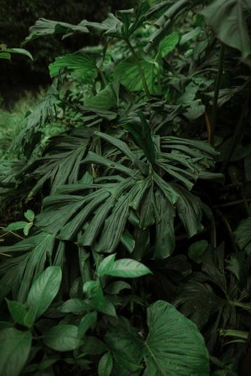 间谍借助学之名怂恿大山孩子窃密